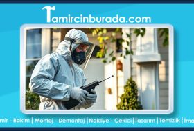 İstanbul'un En İyi Haşere İlaçlama Firmaları